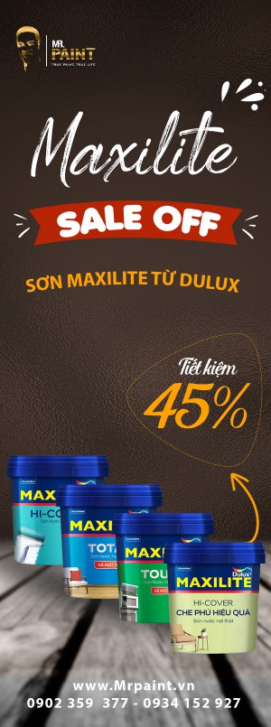 SƠN MAXILITE (25)